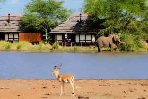 Mid-High end 5 Day all-inclusive Kruger & Pano Tour from JHB