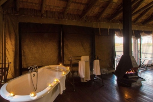 Mid-High end 5 Day all-inclusive Kruger & Pano Tour from JHB