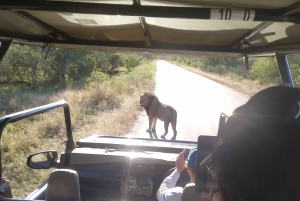 Passeio de vários dias pelo Parque Nacional Kruger a partir de Joanesburgo