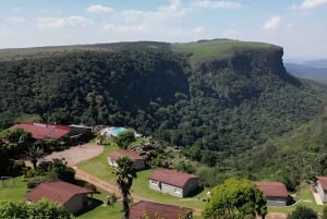 Mid-Range Kruger & Panorama All-Inclusive Safari from Joburg