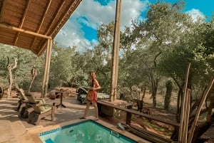 Mellanklass flerdagstur i Kruger & Panorama från Johannesburg