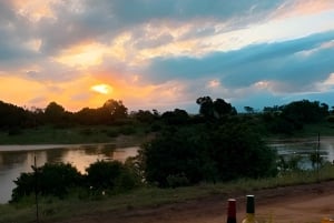 Mellanklass flerdagstur i Kruger & Panorama från Johannesburg