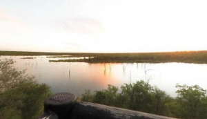 Mopani Camp