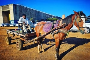 Most authentic tour of Soweto that gives back to the people!