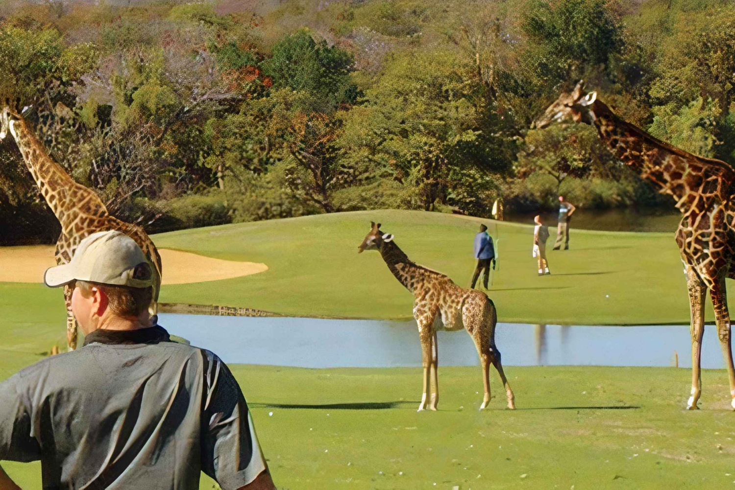 Flerdagestur med golf og safari i Kruger Park fra Johannesburg