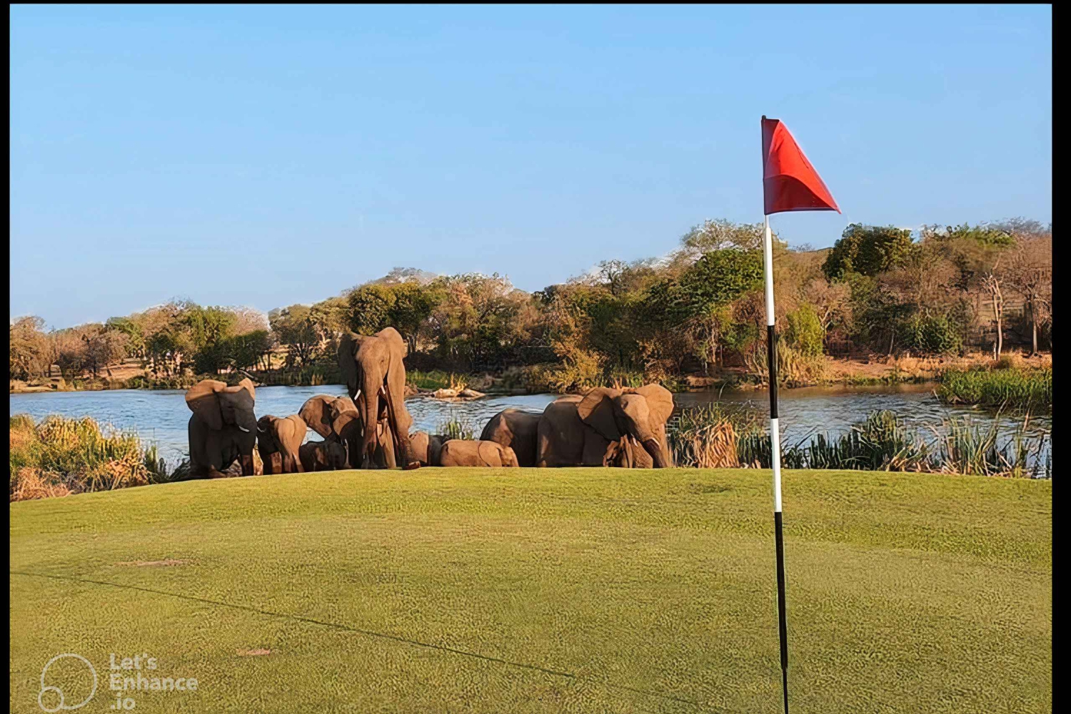 Flerdagestur med golf og safari i Kruger Park fra Johannesburg