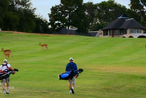 Flerdagestur med golf og safari i Kruger Park fra Johannesburg