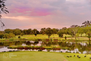 Flerdagestur med golf og safari i Kruger Park fra Johannesburg