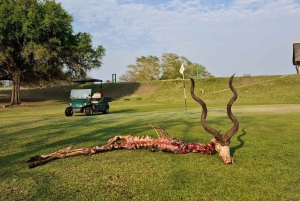 Flerdagestur med golf og safari i Kruger Park fra Johannesburg