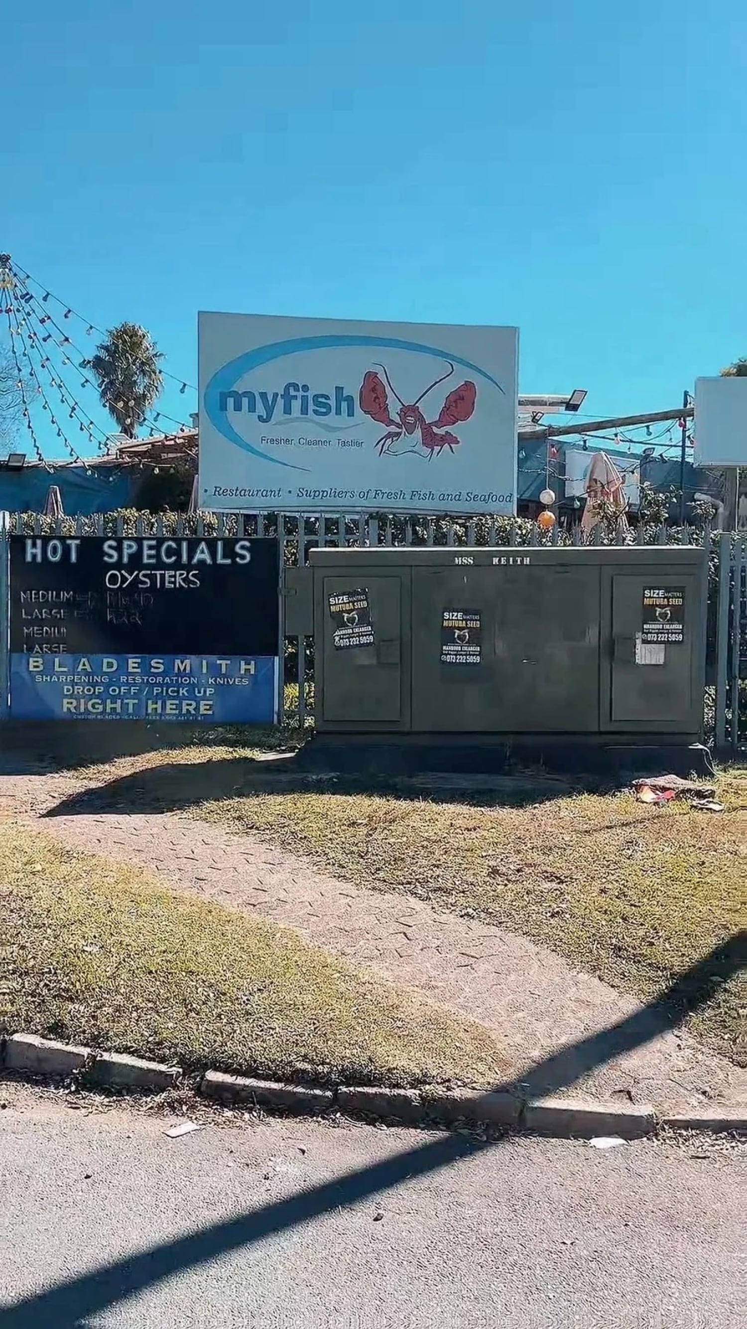 MyFish