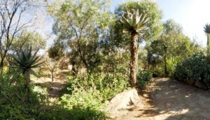 Oppenheimer Gardens