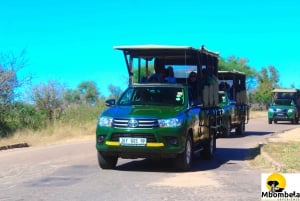 From Johannesburg: 3-Day Kruger National Park Tented Safari