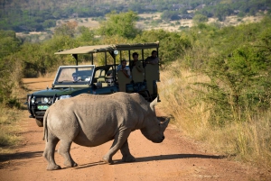 Pilanesberg: 2 Day 3-Star Pilanesberg Safari