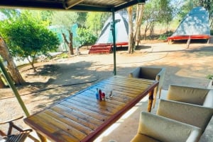Pilanesberg: 3-daagse Tlou Tented Safari