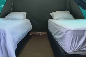 Pilanesberg: 3-daagse Tlou Tented Safari
