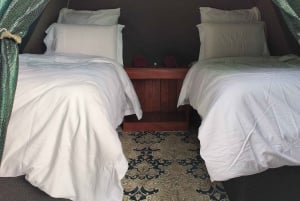 Pilanesberg: 3-daagse Tlou Tented Safari