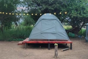 Pilanesberg: 3-daagse Tlou Tented Safari