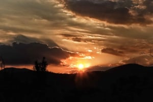 Pilanesberg: 3-daagse Tlou Tented Safari