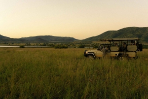 Pilanesberg: Avventura safari di un giorno intero da Johannesburg