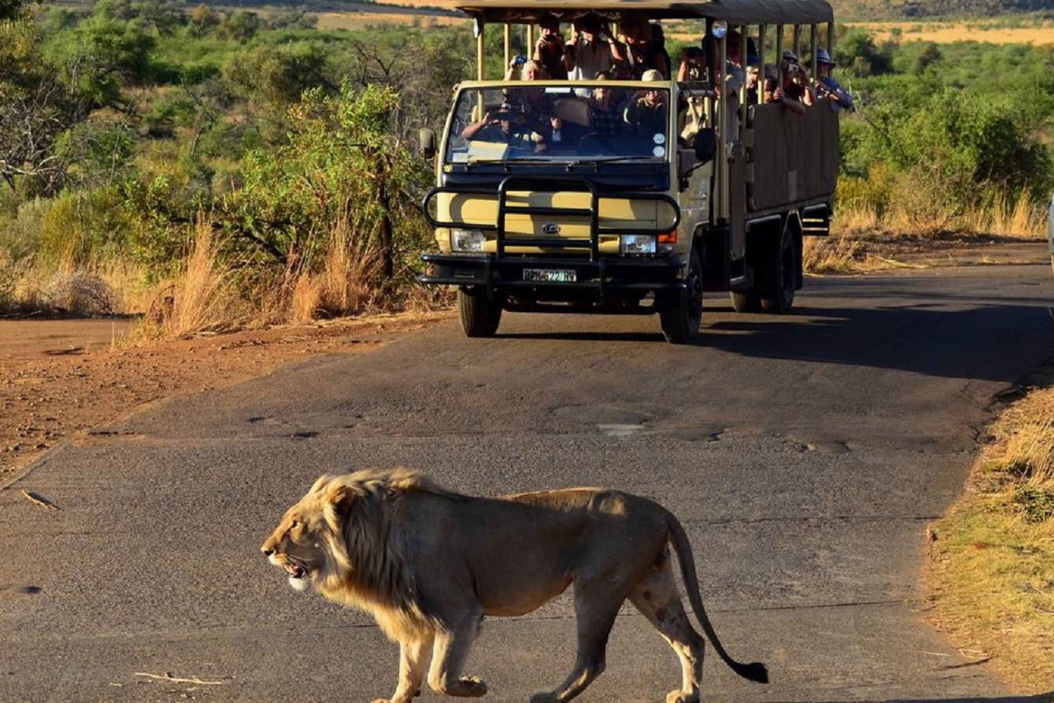 Pilanesbergin koko päivän jaettu safarikierros Sun Cityn vierailulla