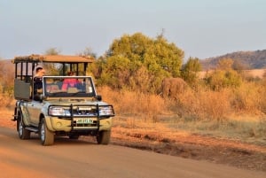 Pilanesberg Full-Day Shared Safari with Sun City Visit