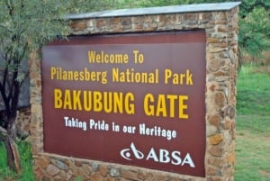 Pilanesberg Game reserve safari with pickup in Johannesburg