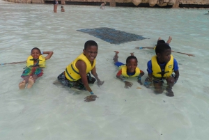 Pilanesberg, Sun City and Valley of the Waves Waterpark