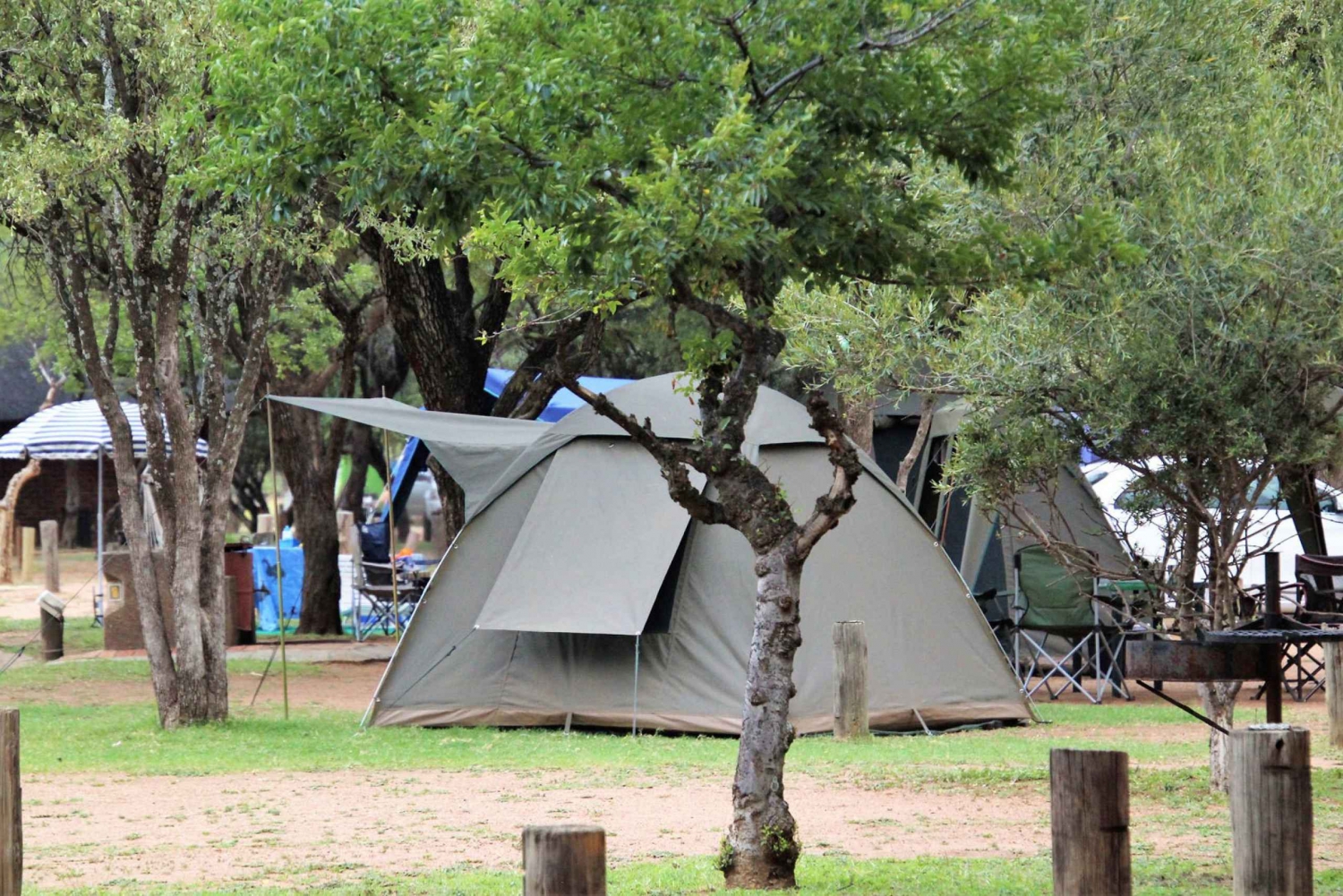 Pilanesberg: Two-Day Camping Adventure from Johannesburg