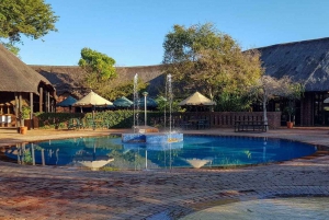 Pilanesberg: Zweitägiges Camping-Abenteuer von Johannesburg aus