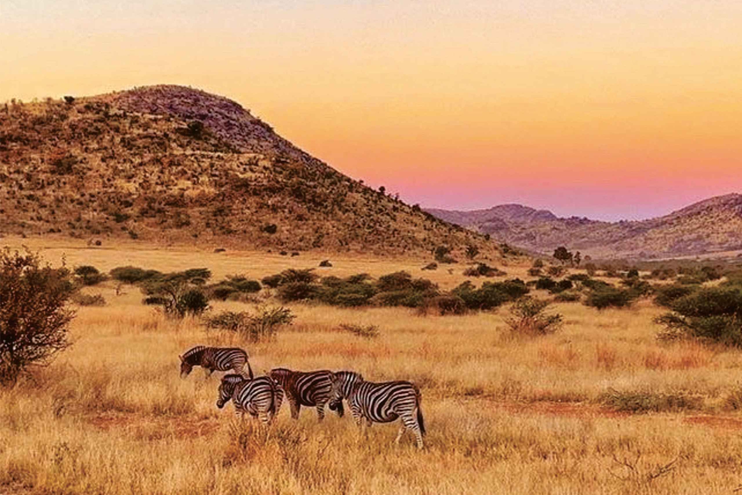 Pilanesburg National Park Tour