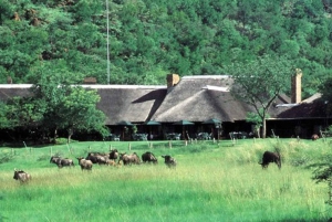 Pilanesburg National Park Tour