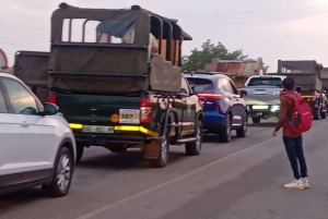 SAFARI DE UN DÍA EN PILANESSBURGO