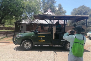 SAFARI DE UN DÍA EN PILANESSBURGO