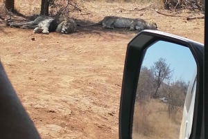 CAŁODNIOWE SAFARI W PILANESSBURGU