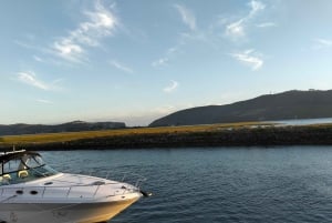 Port Elizabeth: Safari de 11 dias e visita cultural a Joanesburgo