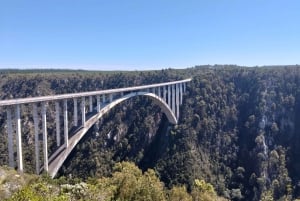 Port Elizabeth: Safari de 11 dias e visita cultural a Joanesburgo