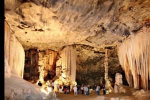 Port Elizabeth: Safari de 11 dias e visita cultural a Joanesburgo