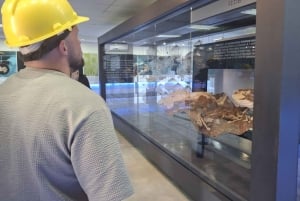 Pretoria, Johannesburg & Cradle of Humankind: 3-tägige Führung