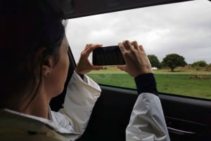 Pretoria Tour-Voortrekker Monument, Town, Union Buildings