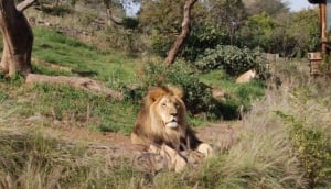 Pretoria Zoo