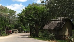 Pretoriuskop Camp