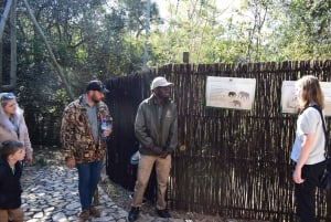 Privato Da Johannesburg: 2 ore di interazione con gli elefanti