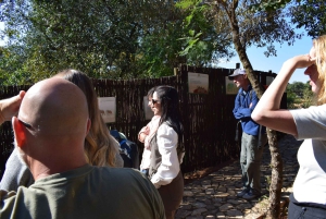 Privato Da Johannesburg: 2 ore di interazione con gli elefanti