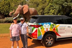 Johannesburg: Halvdagstur till elefant- och apreservatet