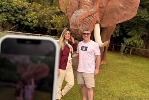 Johannesburg: Elephant and Monkey Sanctuary Half Day Tour