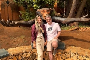 Johannesburgo: Excursión de medio día al Santuario de Elefantes y Monos