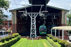 Private Johannesburg Wine Tasting and Cableway Half Day Tour