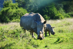 Private Kruger national park tour