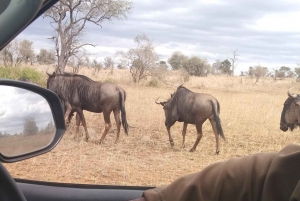 Private Kruger national park tour