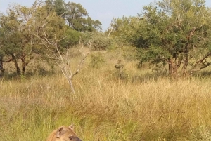 Prywatna wycieczka po parku Krugera i trasie panoramicznej